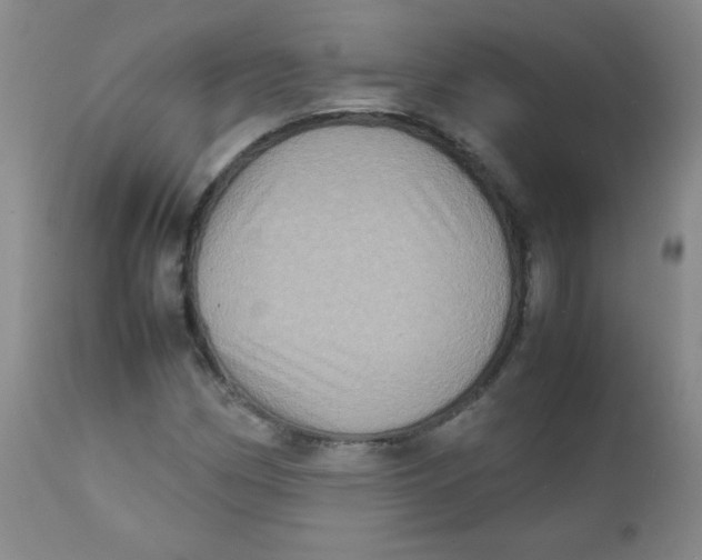 X0000111901162200908240954