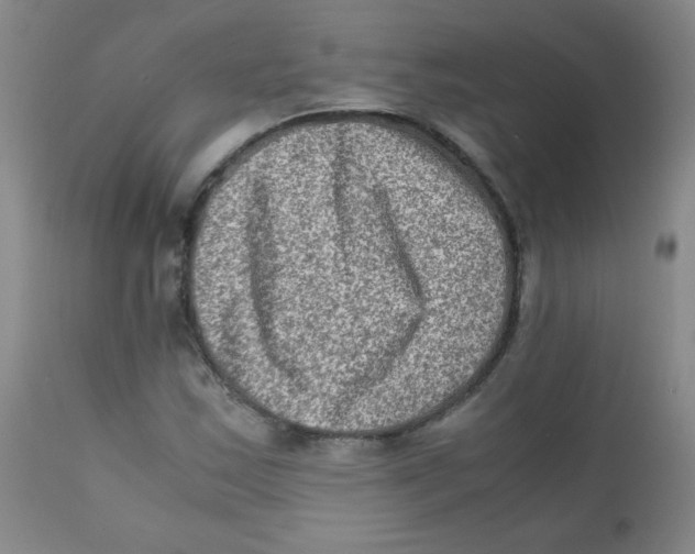 X0000111901163200908240954