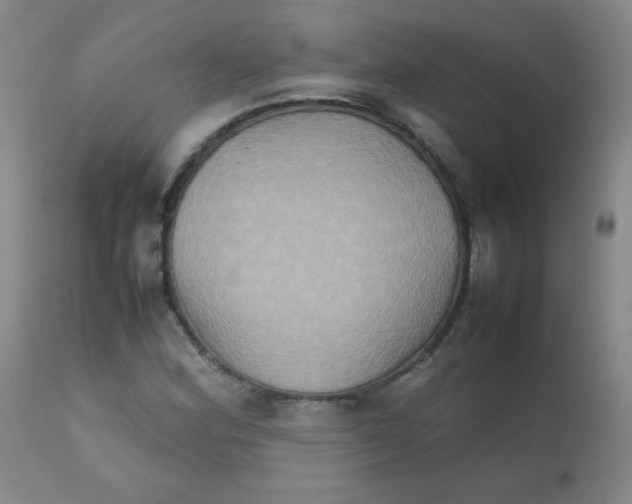 X0000111901164200908240954