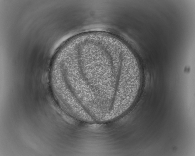 X0000111901166200908240954