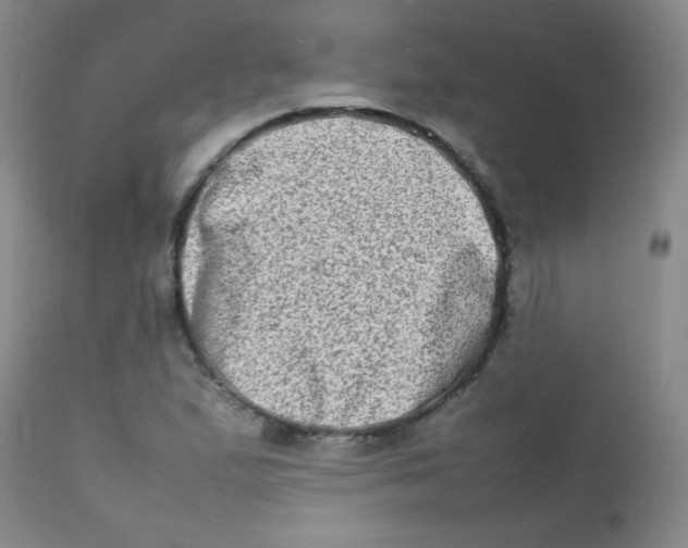 X0000111901167200908240954