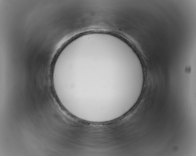 X0000111901168200908240954