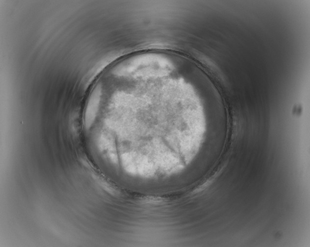 X0000111901170200908240954