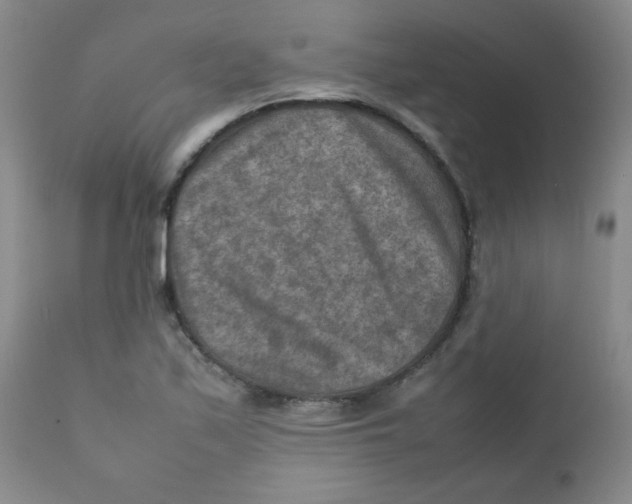 X0000111901171200908240954