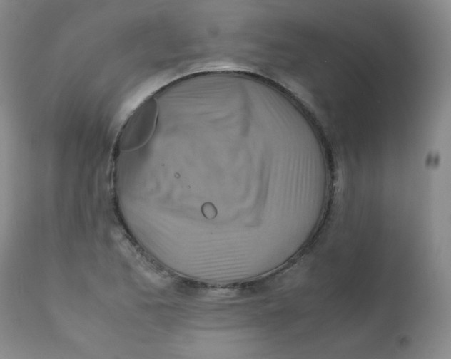 X0000111901173200908240954