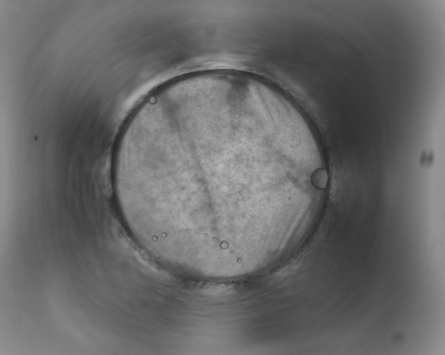 X0000111901174200908240954