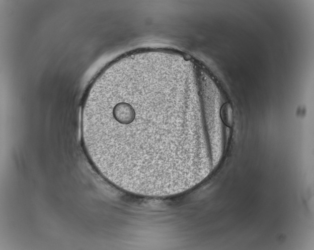 X0000111901175200908240954