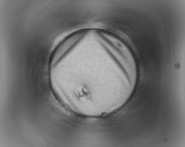 X0000111901176200908240954