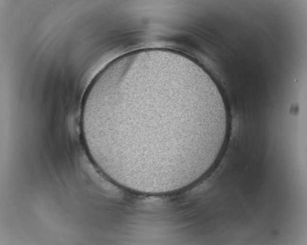 X0000111901178200908240954