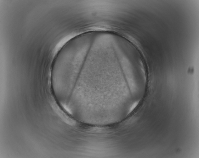 X0000111901179200908240954