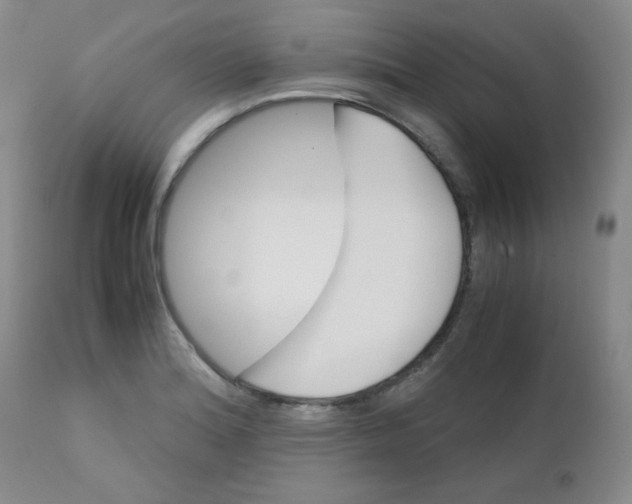 X0000111901180200908240954