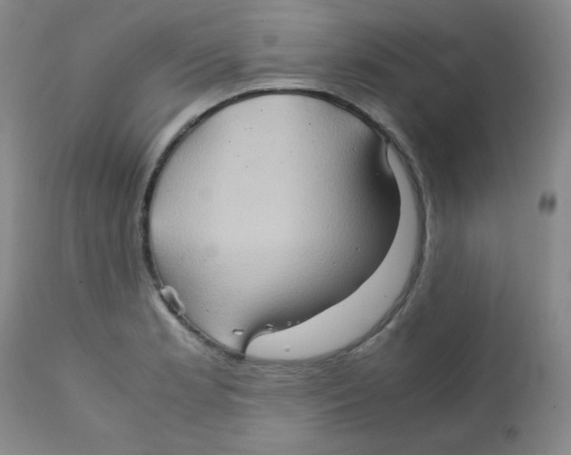 X0000111901181200908240954