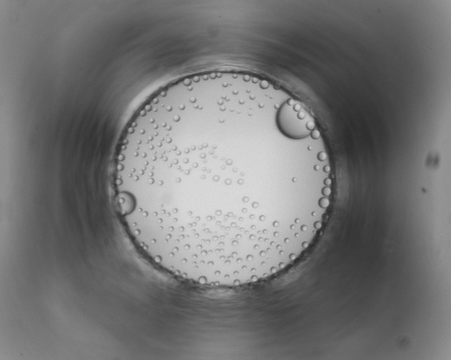 X0000111901182200908240954