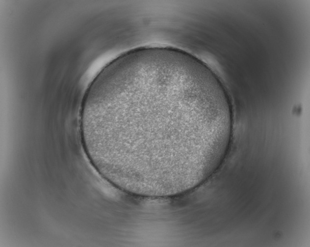 X0000111901183200908240954