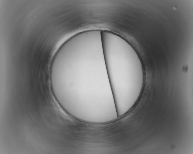 X0000111901184200908240954