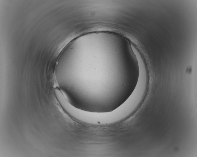 X0000111901185200908240954