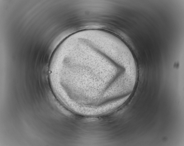 X0000111901186200908240954