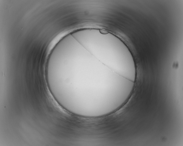 X0000111901188200908240954