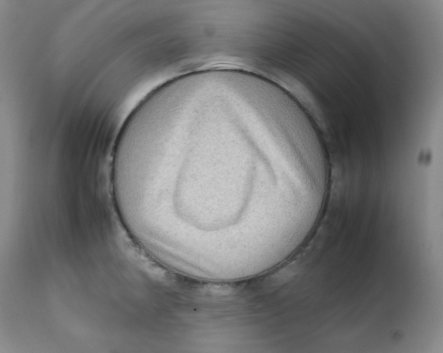 X0000111901190200908240954