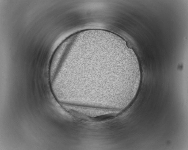 X0000111901192200908240954