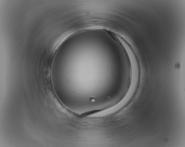 X0000111901193200908240954