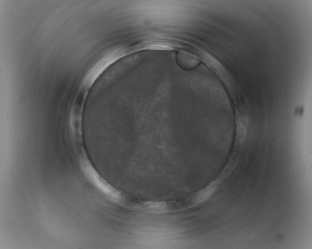 X0000111901194200908240954