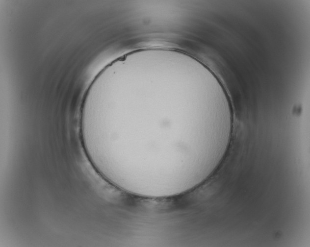 X0000111901195200908240954