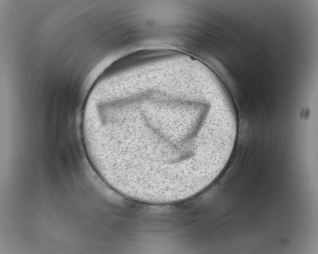 X0000111901196200908240954