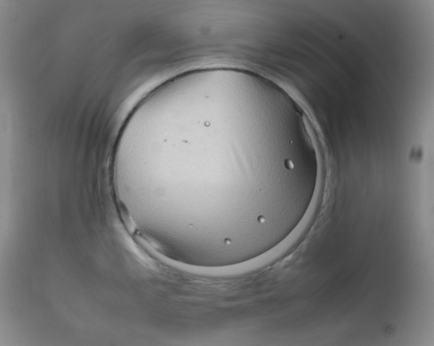 X0000111901197200908240954