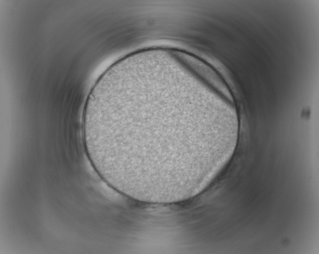 X0000111901199200908240954