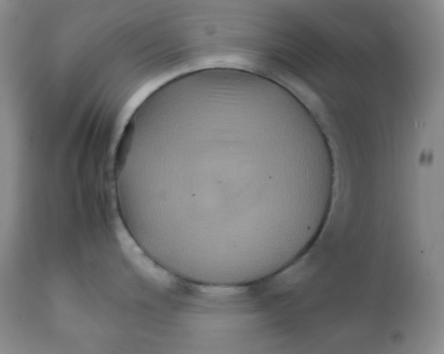 X0000111901200200908240954