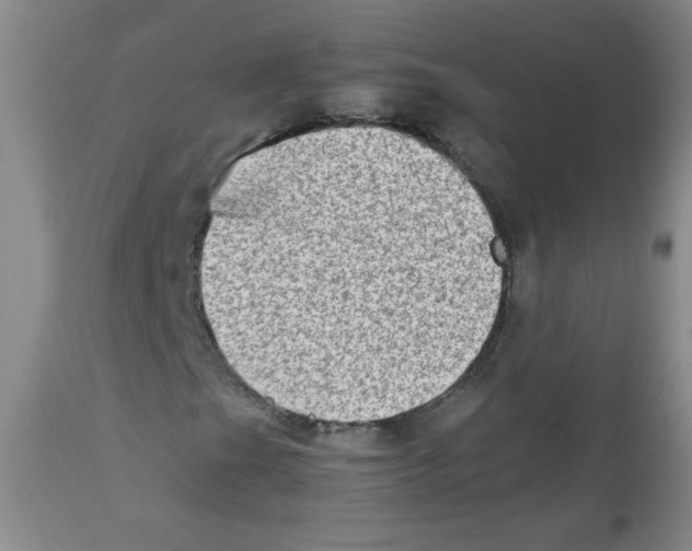 X0000111901201200908240953