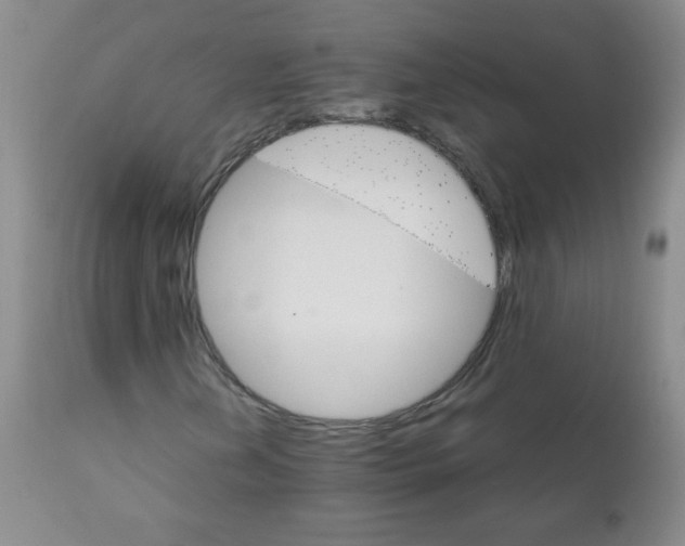 X0000111901202200908240953