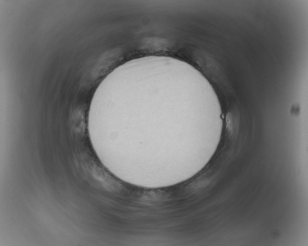 X0000111901203200908240953