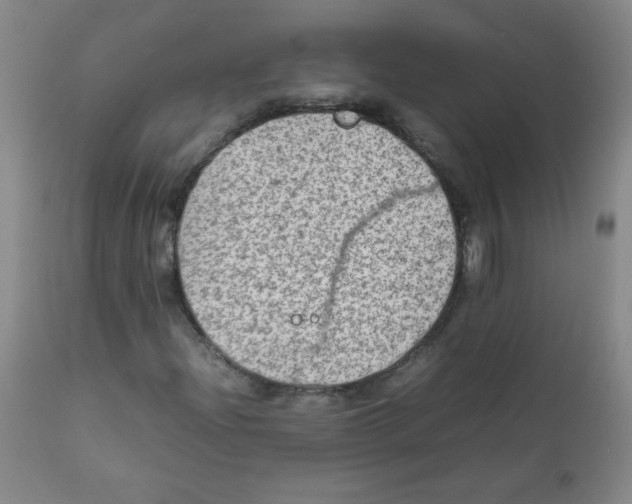 X0000111901204200908240953