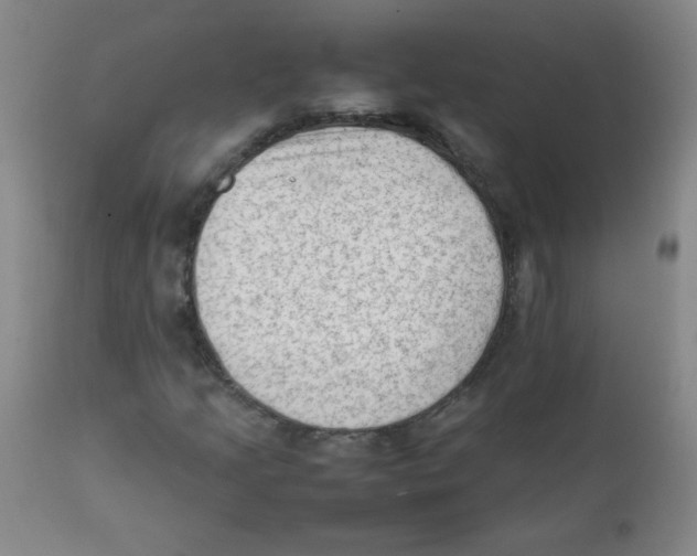 X0000111901205200908240953