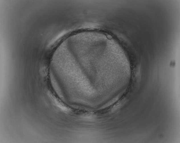 X0000111901206200908240953