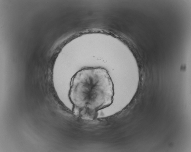 X0000111901207200908240953