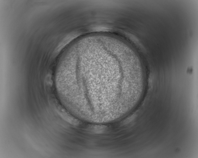 X0000111901209200908240953