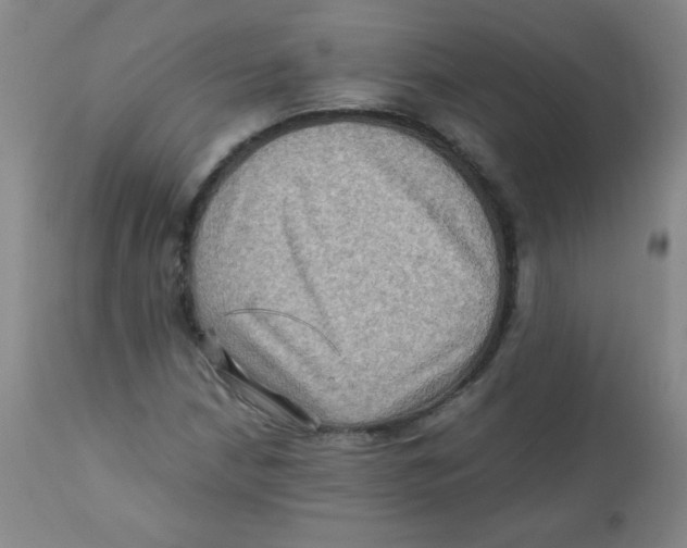 X0000111901210200908240953