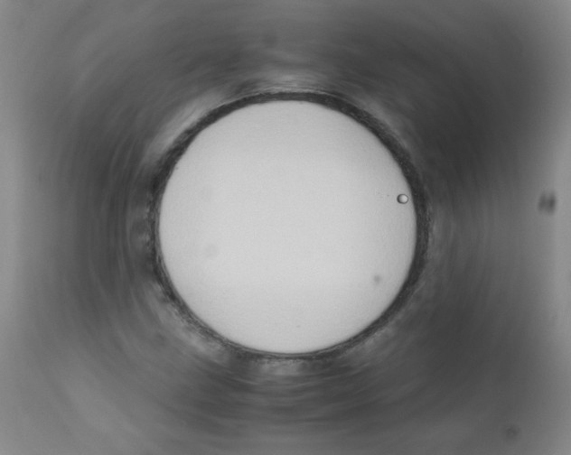 X0000111901211200908240953