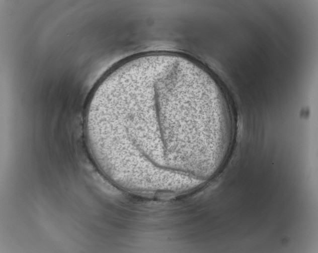 X0000111901212200908240953