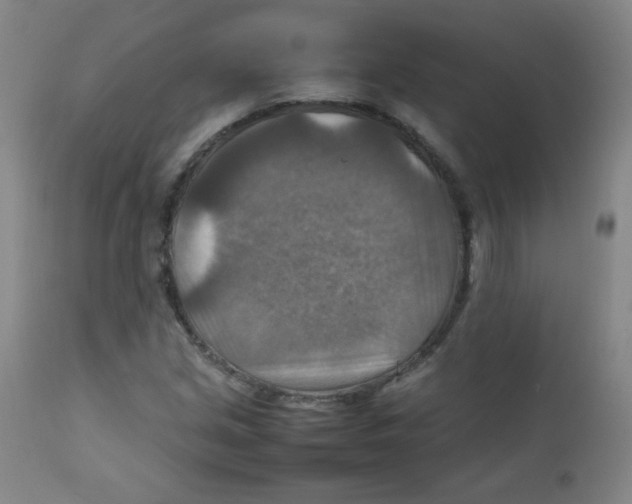 X0000111901213200908240953