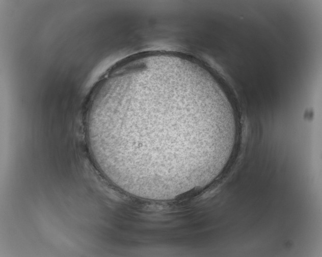 X0000111901215200908240953