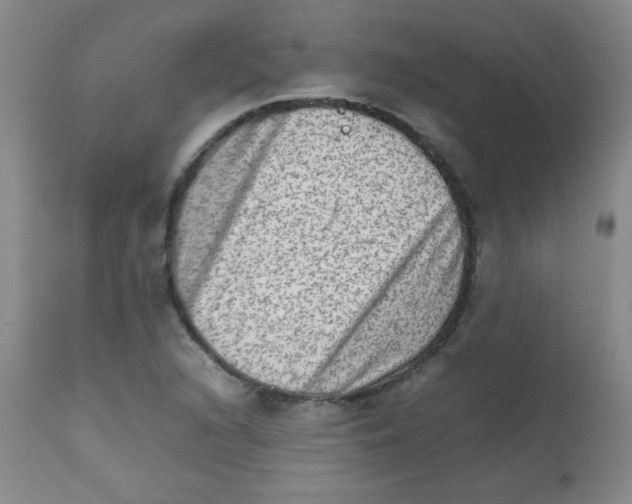 X0000111901216200908240953