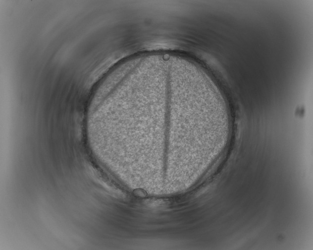 X0000111901217200908240953