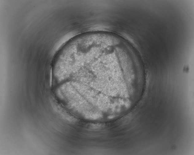 X0000111901219200908240953