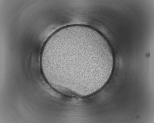 X0000111901220200908240953