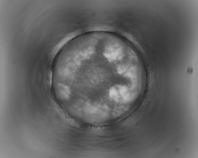 X0000111901221200908240954