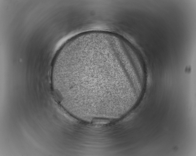 X0000111901222200908240954